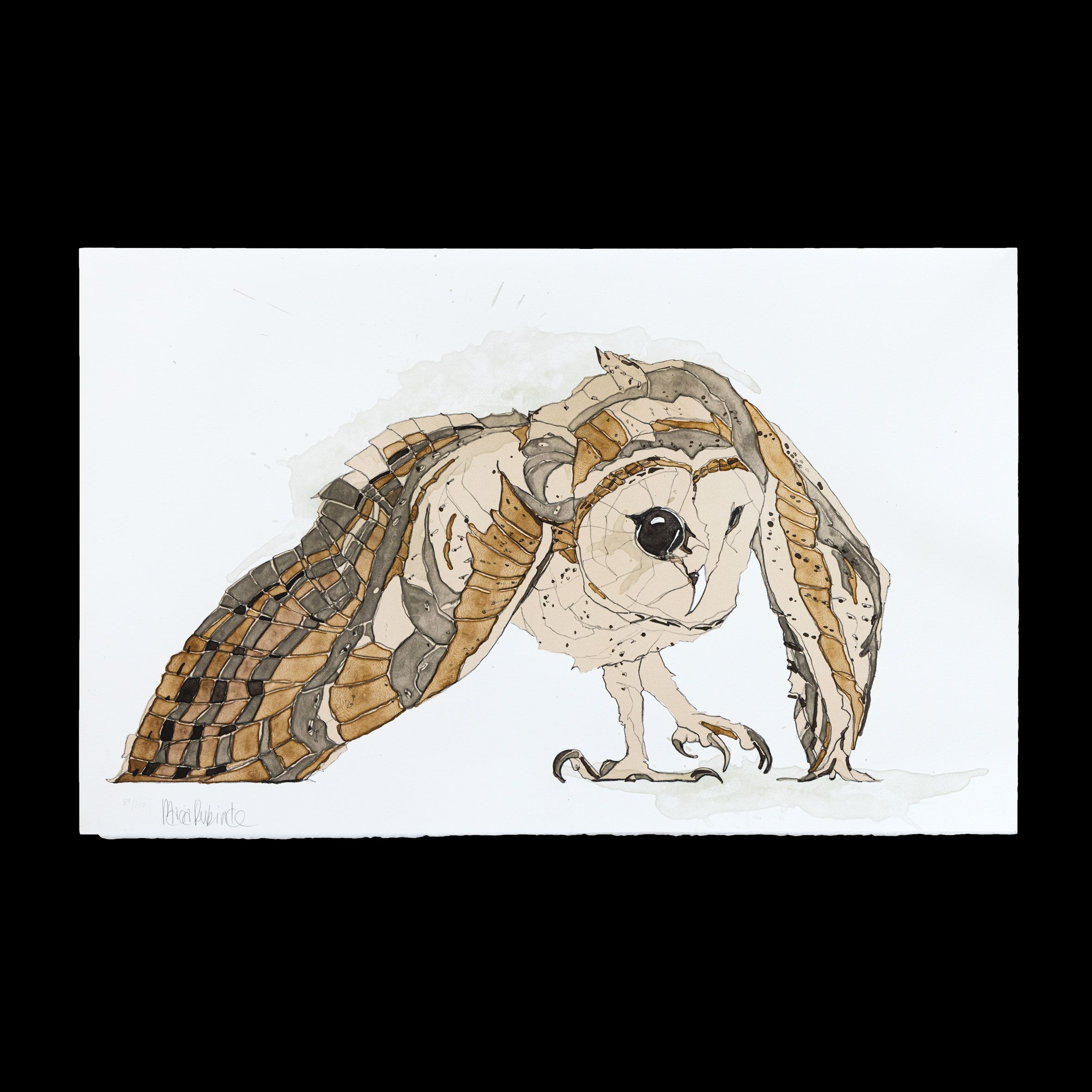 Litografi af Maria Rubinke – siddende ugle bøjer hovedet mod skulderen – 2025